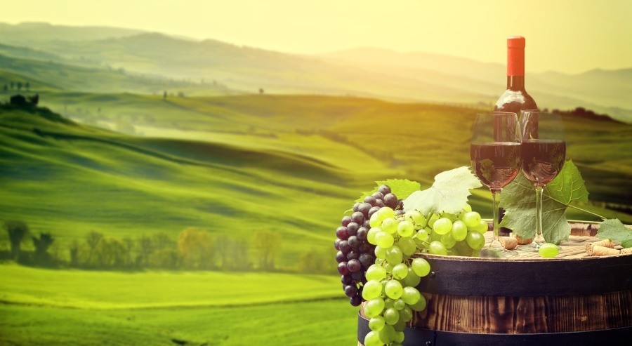 A Vinha Garrafeira marca presença em mais uma edição do Wine in Azores